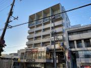 パシフィカコイン通り