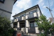 アルスハタゴ