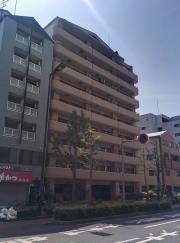 グレイスピア夕凪