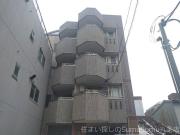 M′s Garden