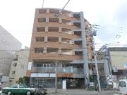GATO D.M 北山