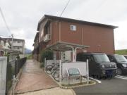 プルメリアF
