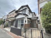 青い空と白のルピナス