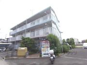 パストラル蘭