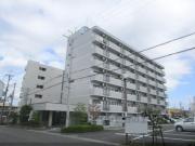 アイランド小野山