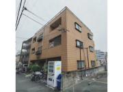 三匹のKOBUTA