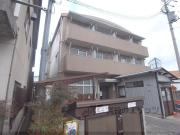 ライトオブフルタニ