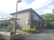 セレソ