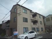 sawarabi一条