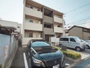 アプリコット瓜生