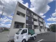 アムールC