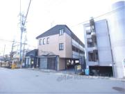COCO SHINOMIYA