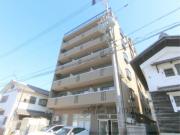 十一屋ブラウンシュガービル