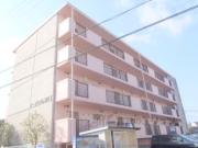 ピーチハイム福井II