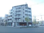INSIGHT REPOS YAMASHINA ONO