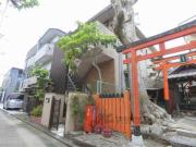 岡崎天王町16-1貸家