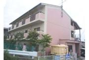 セラー野村