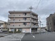 コモド清水