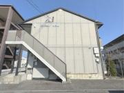 セジュール向日葵