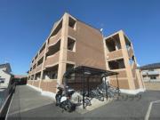 バローゼ5