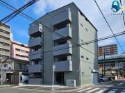 Sugarloaf Park花の木