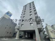 メルール藤枝