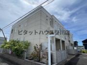 ブロッサム