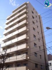 トレフルコート