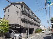 アルフ元宮