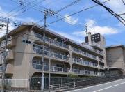 スターハイツ住吉川