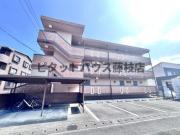 アレグリーア