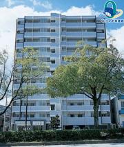 willDo伝馬町