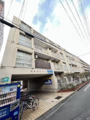 ハイルハイツ
