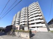 ピカソ平野