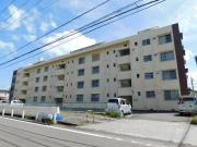 高洲マンション