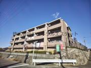 CASA はなみずき