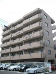 J.feel橘