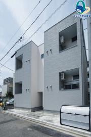 IVY菊井