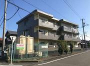 リブ