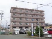 フォルテN