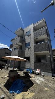 Coton HAKATA