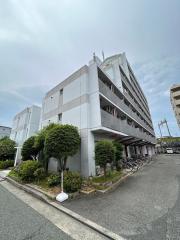 キューブ塚口