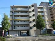 MAISON CALME 守山