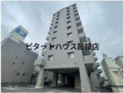 メルール藤枝