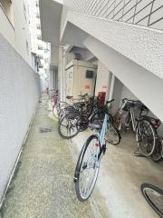 ジュネス