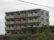 S・ASAGIRI
