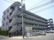 サングリッタ一ッ葉