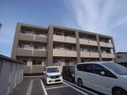 シーズンス