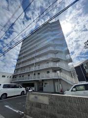 willDo九条