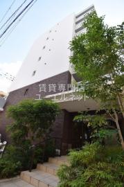 VIVACE Nagasuhondori